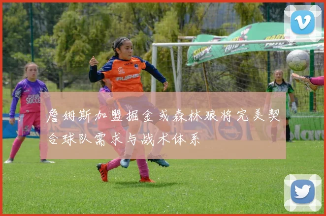 詹姆斯加盟掘金或森林狼将完美契合球队需求与战术体系